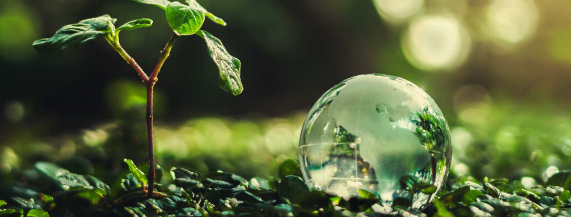 261-sustainability-summit-blog-kuenstliche-intelligenz-und-nachhaltigkeit-ethik 261-sustainability-summit-blog-kuenstliche-intelligenz-und-nachhaltigkeit-ethik